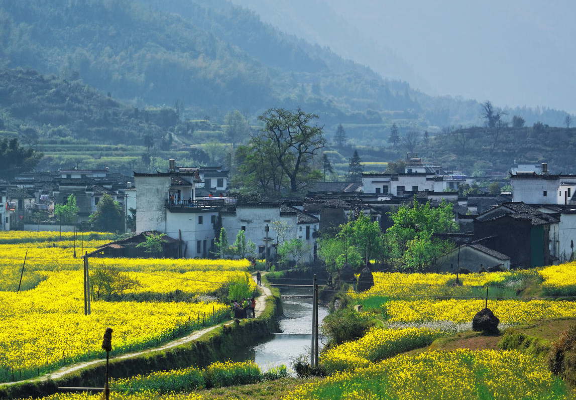 ũ���Խ�����ˮ4���� (2).png