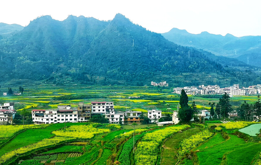 ũ���Խ�����ˮ4���� (4).png