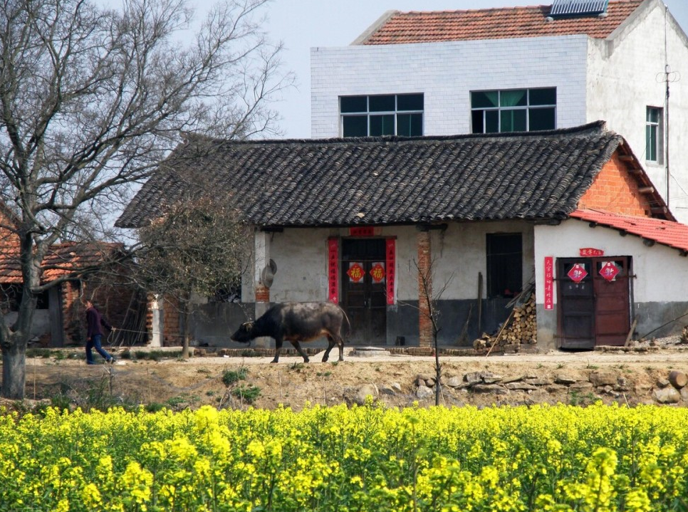 农村风水阳宅三要看指什么?.png 农村风水阳宅三要看指什么?.png