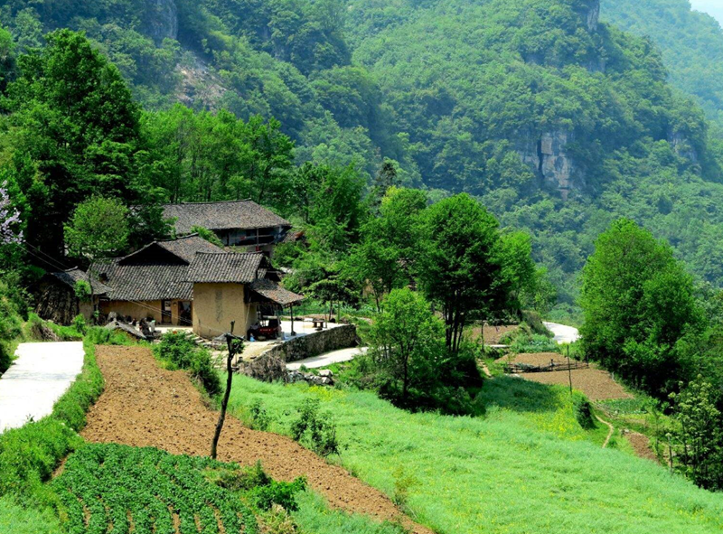 农村阳宅风水吉凶取决于哪些方面?.png 农村阳宅风水吉凶取决于哪些方面?.png