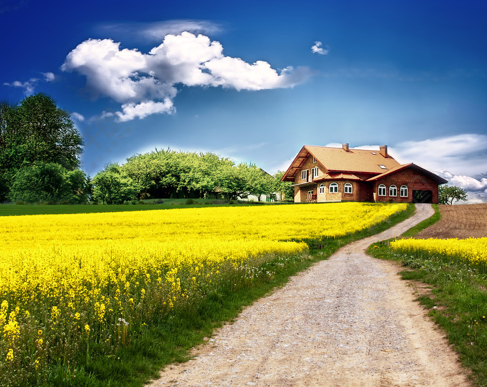 ���廧�ڵ���ȱ�� (3).png