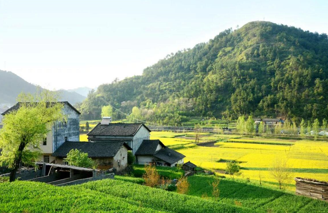 ���廧�ڵ���ȱ�� (5).png