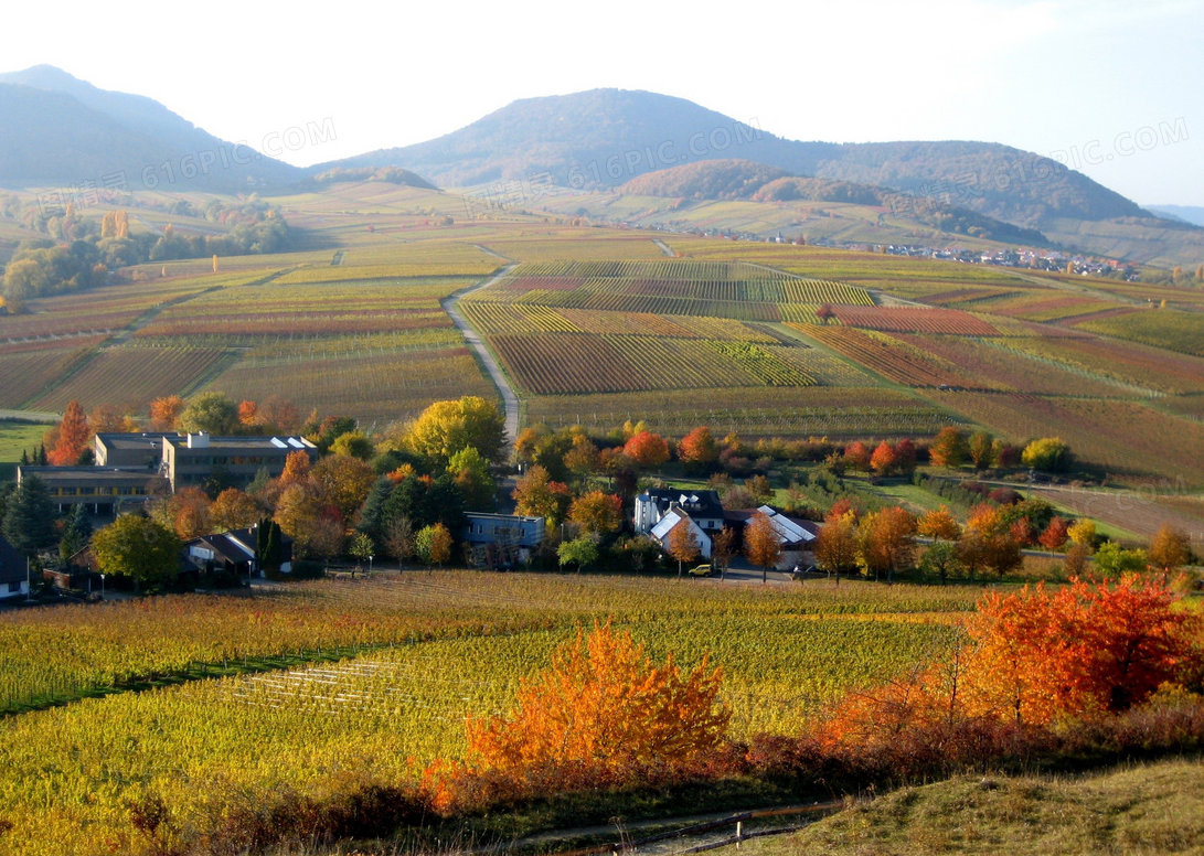 ���廧�ڵ���ȱ�� (7).png