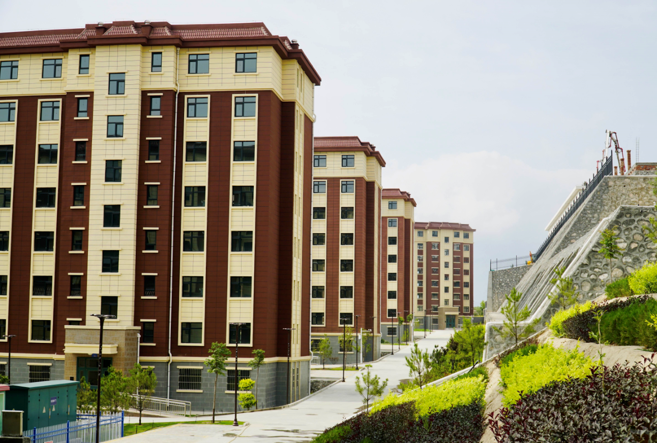 �Ͳ�2023���ﻧ�����Ͼ�С��������Ŀ (3).png