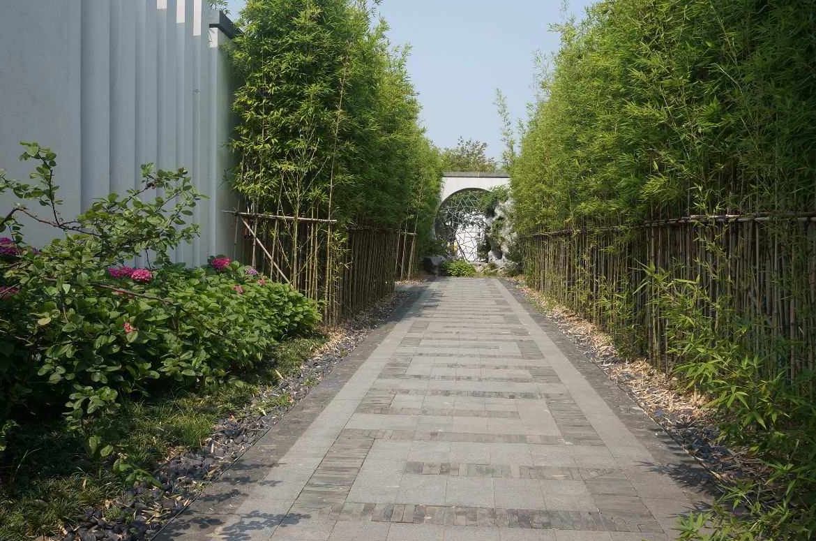 庭院种竹子的风水讲究大全 (2).png 庭院种竹子的风水讲究大全 (2).png