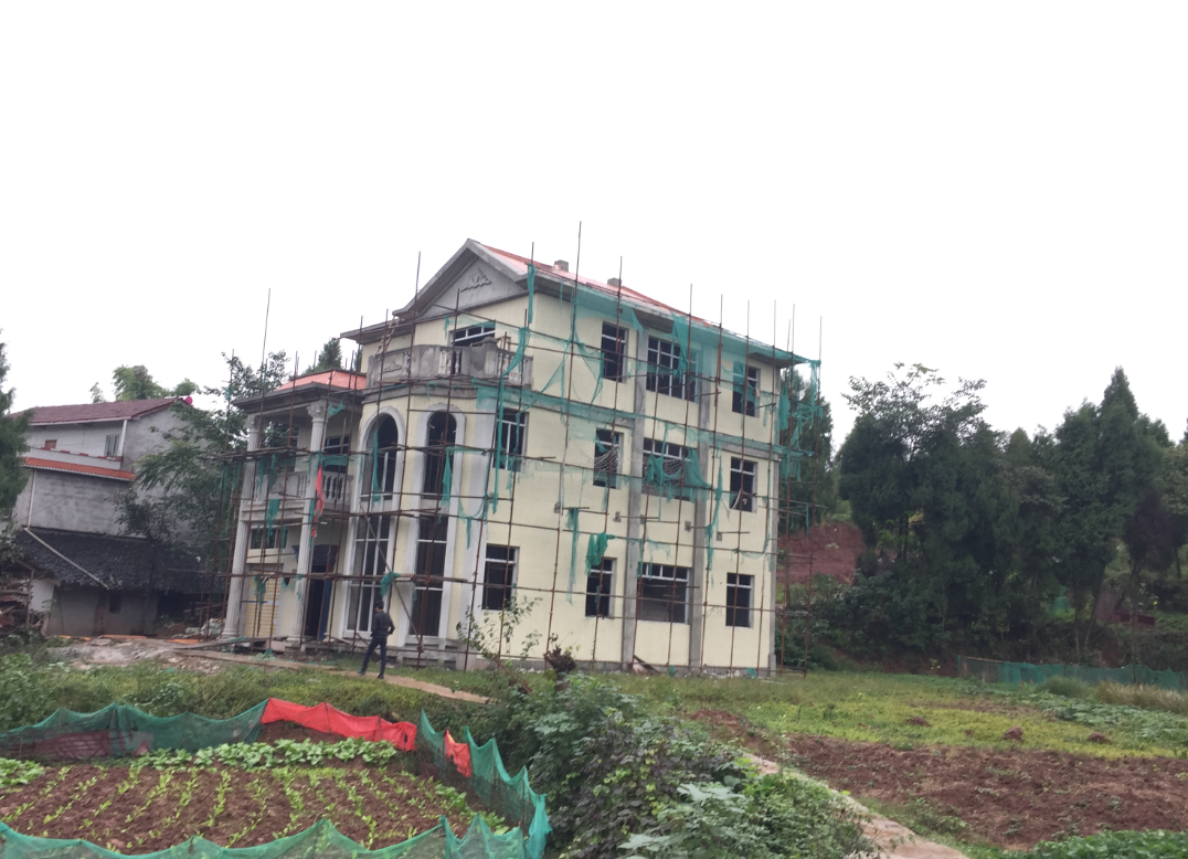 农村自建房优缺点 (2).png 农村自建房优缺点 (2).png