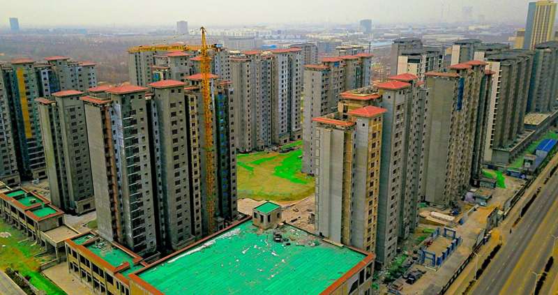 2023��ɽ�������ﻧ������ƻ� (2).png