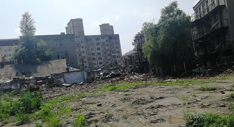 2023��ɽ�������ﻧ������ƻ� (4).png