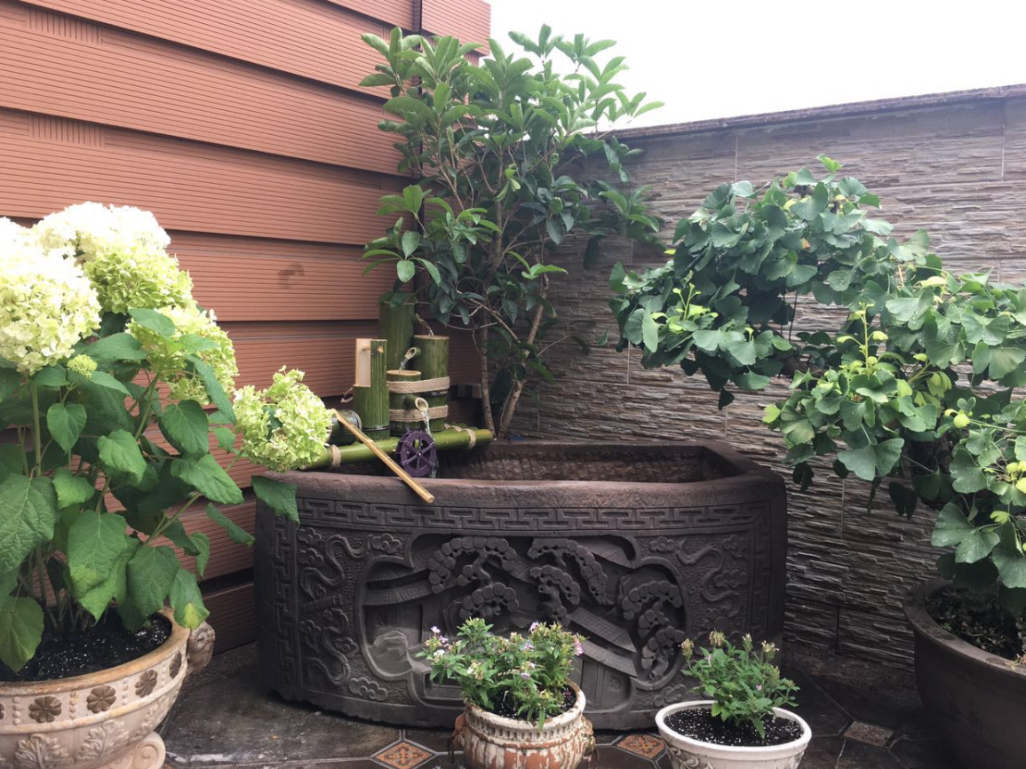 农村庭院鱼缸摆放在哪里比较好? (6).png 农村庭院鱼缸摆放在哪里比较好? (6).png