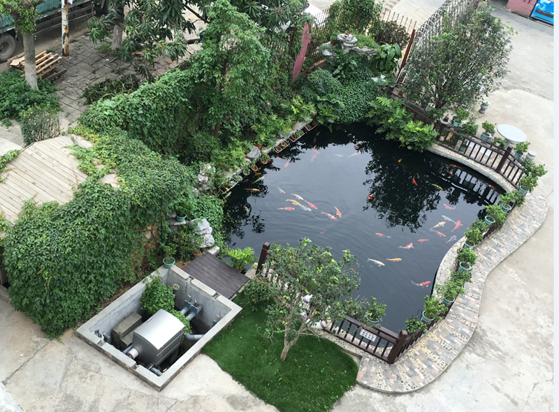 农村庭院鱼缸摆放在哪里比较好? (9).png 农村庭院鱼缸摆放在哪里比较好? (9).png