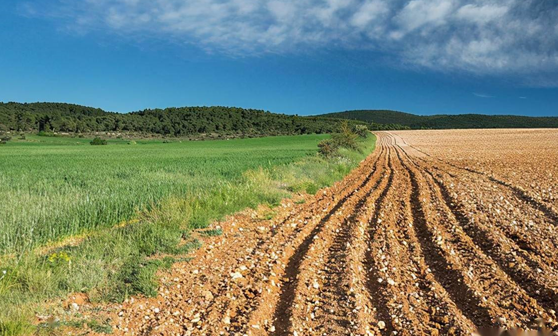 2023�����ֻ���������ʲô�� (2).png