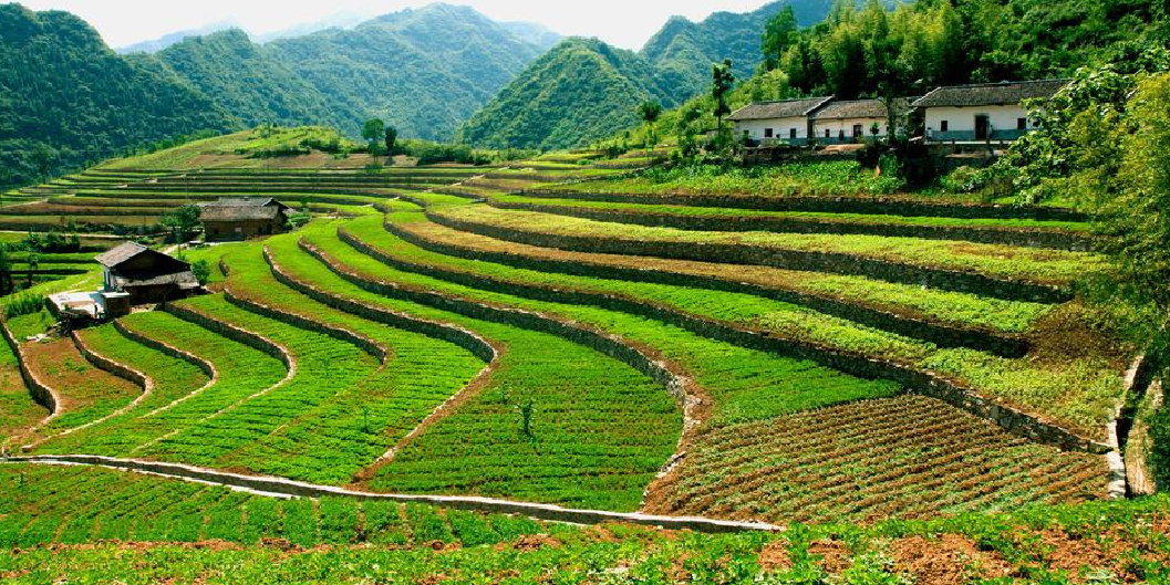 ���ֻ�����ȫ���Ե��� (2).png