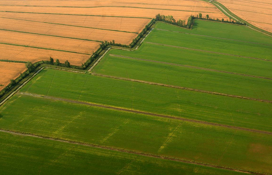 2023���˸����ֲ�����׼�Ƕ��� (2).png