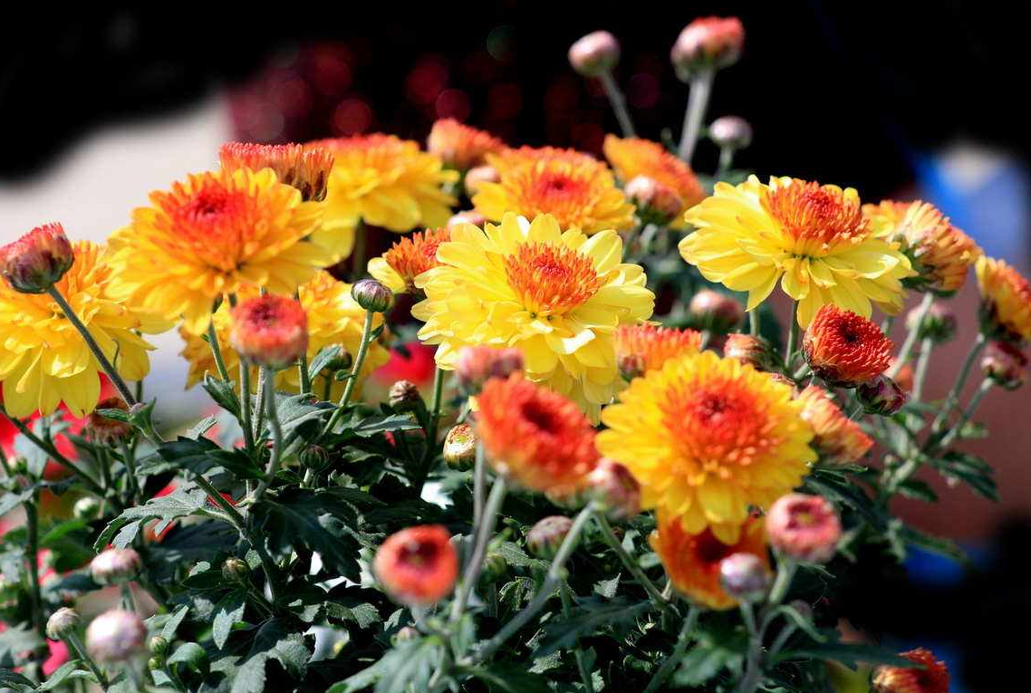 �����ڼ����־ջ���  (2).png