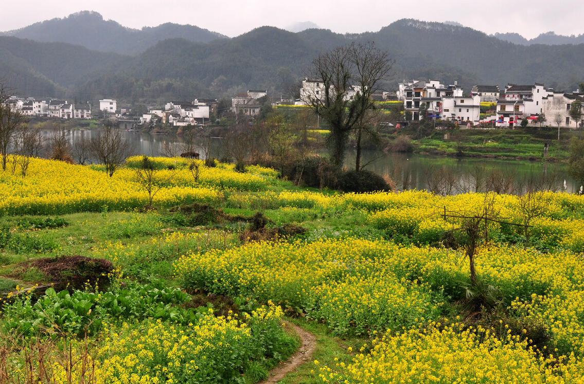 ũ�巿�ݽ����漰��Щ��ˮ���� (2).png