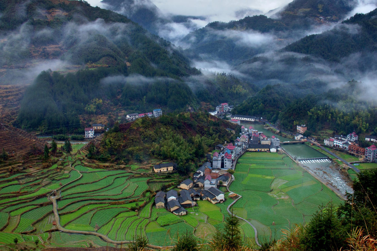 ũ�巿�ӷ�ˮ��ô�� (2).png