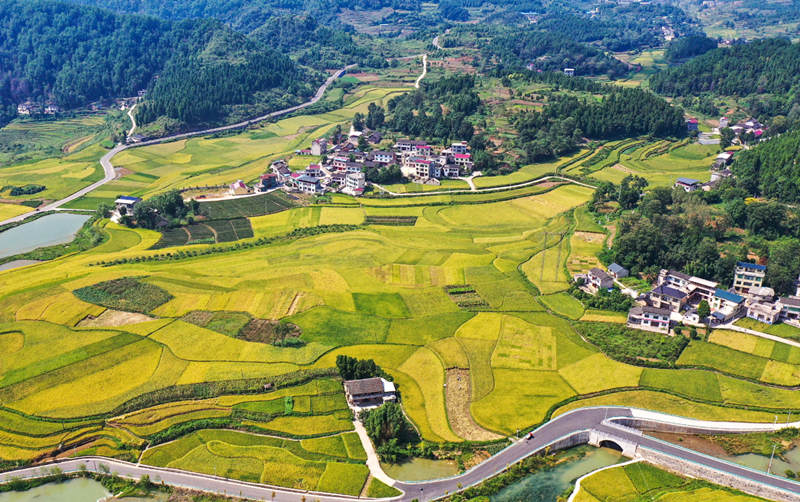 �Ҿӷ�ˮ������λ��� (1).png