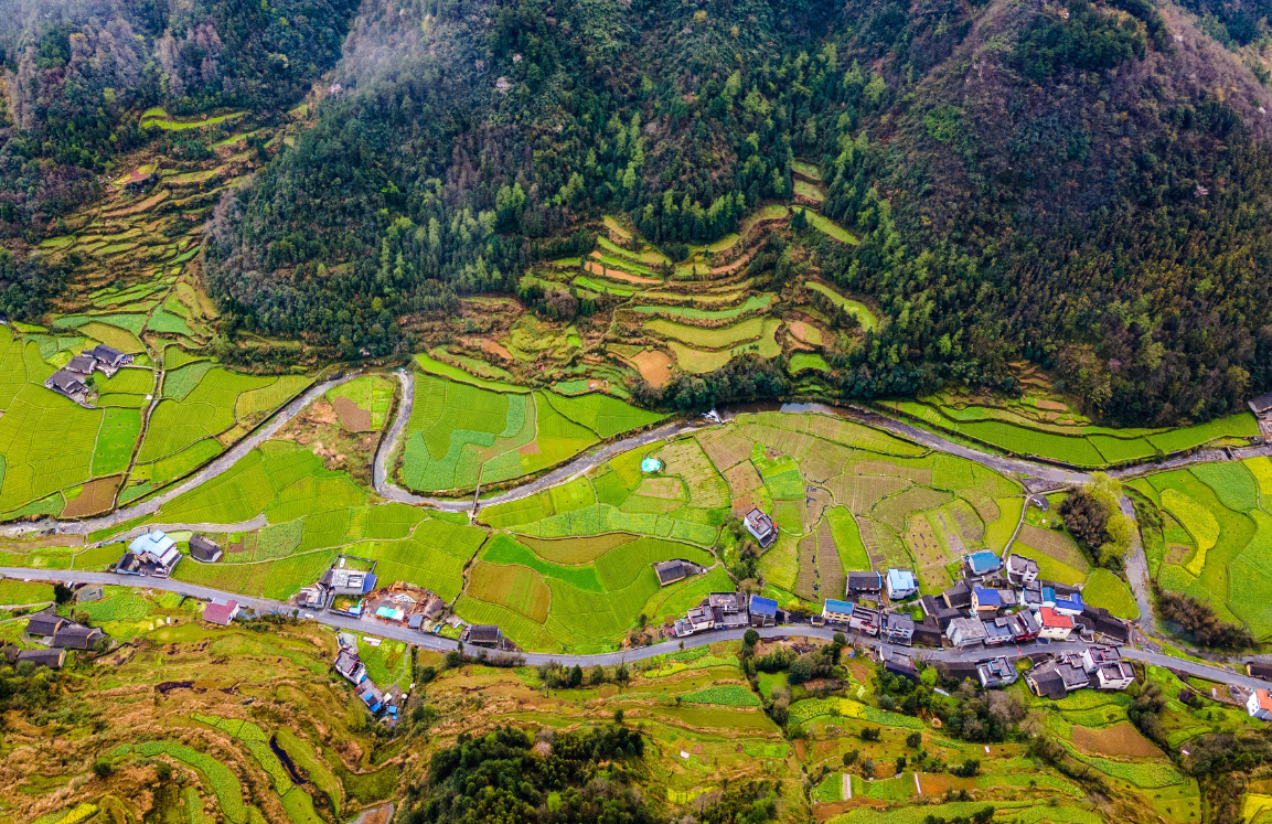 ũ���߷��ݶ�����Ԥ�����μ��㣿 (2).png