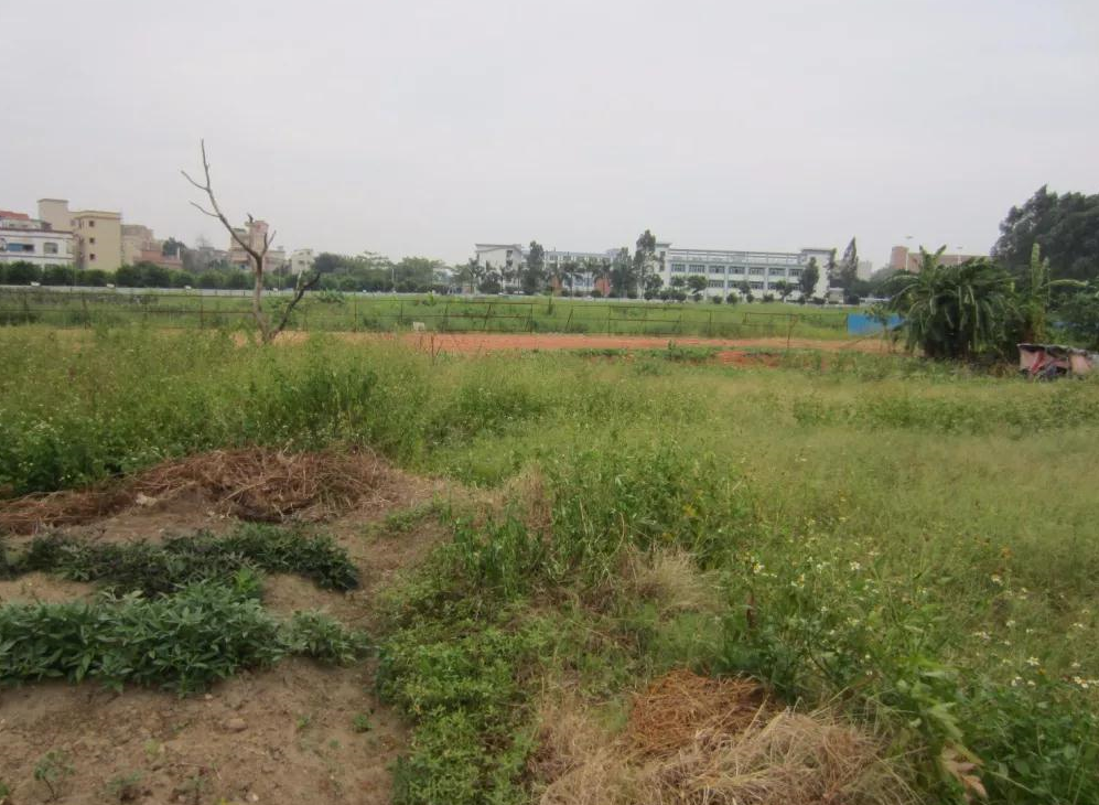 ũ���ɽ���ղ�����׼�������ģ� (2).png