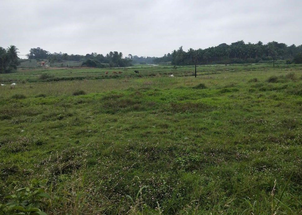 ����ũ��ĵصĻ�����������Щ (2).png