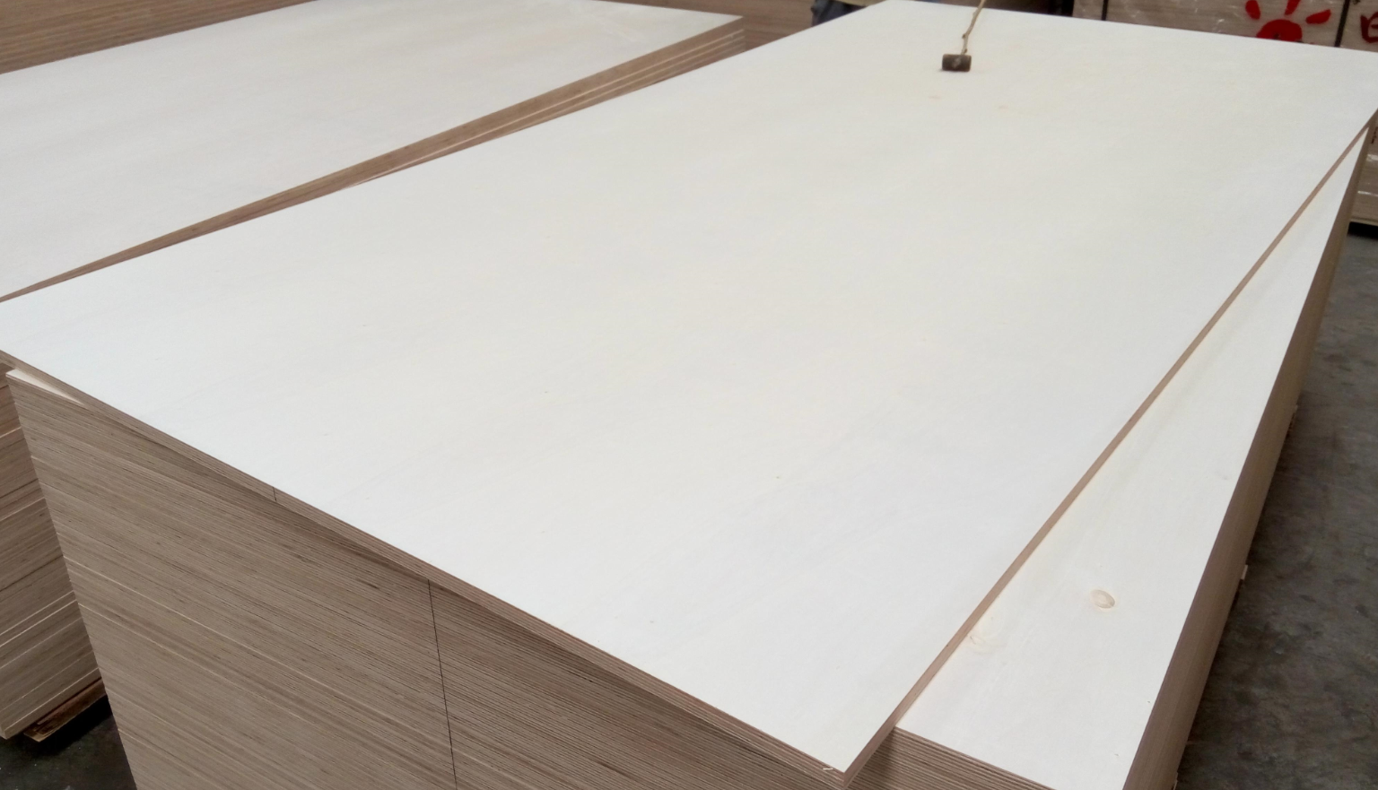 �������ʲô��� (2).png