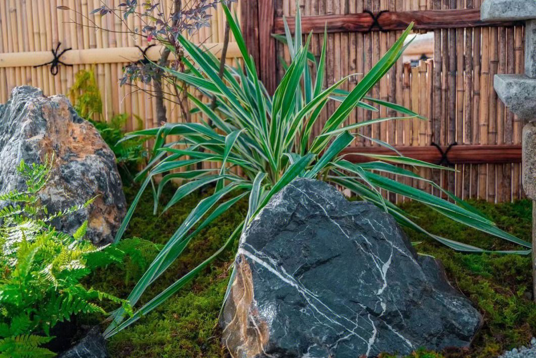 ��ʽ����ͥԺ����Ʒ����� (2).png