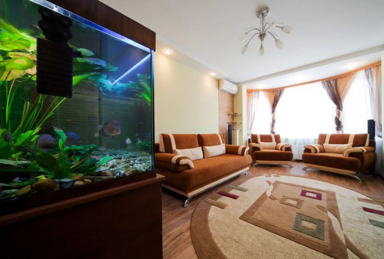 家里怎样才能旺财 摆放招财物品 (1).png 家里怎样才能旺财 摆放招财物品 (1).png