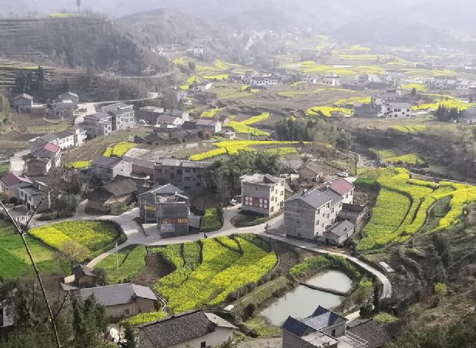 顶楼屋檐影响采光怎么办?.png 顶楼屋檐影响采光怎么办?.png