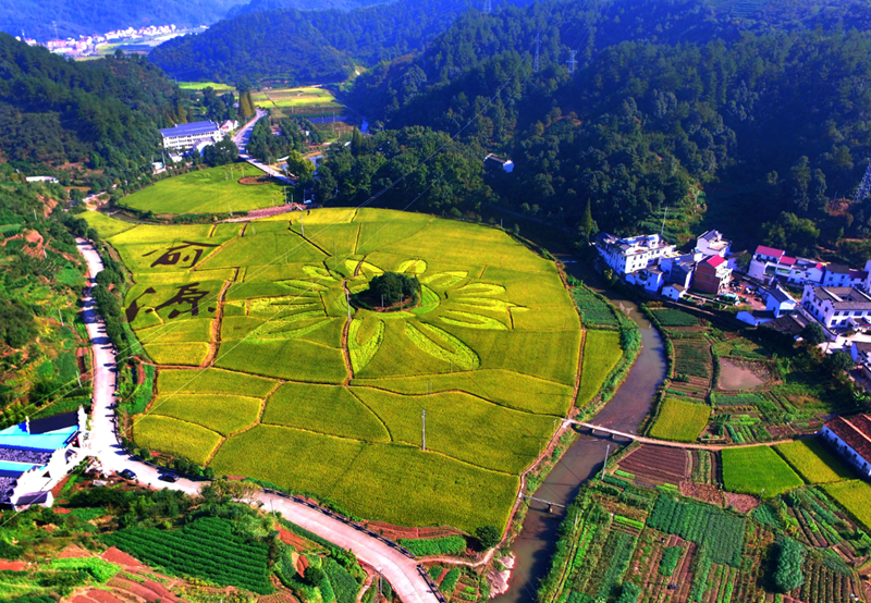 屋顶出檐标准是多少?.png 屋顶出檐标准是多少?.png