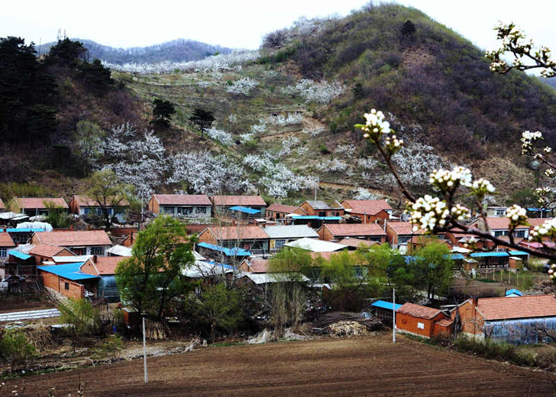 邻居家的房屋比自家的房屋高怎么办 (2).png 邻居家的房屋比自家的房屋高怎么办 (2).png