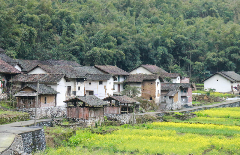 邻居家的房屋比自家的房屋高怎么办 (5).png 邻居家的房屋比自家的房屋高怎么办 (5).png