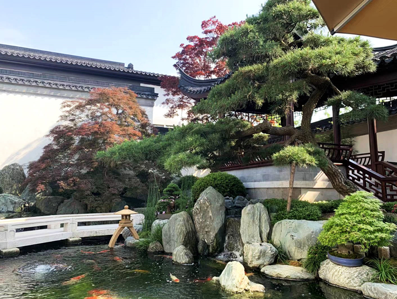 怎么设计乡村庭院.png 怎么设计乡村庭院.png