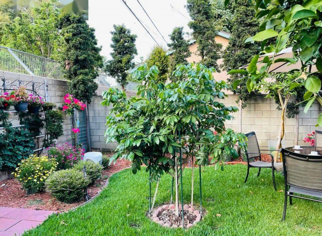 乡村庭院景观设计要点 (2).png 乡村庭院景观设计要点 (2).png