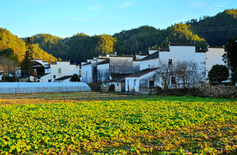 农村自建房怎样做建筑模板 (3).png 农村自建房怎样做建筑模板 (3).png