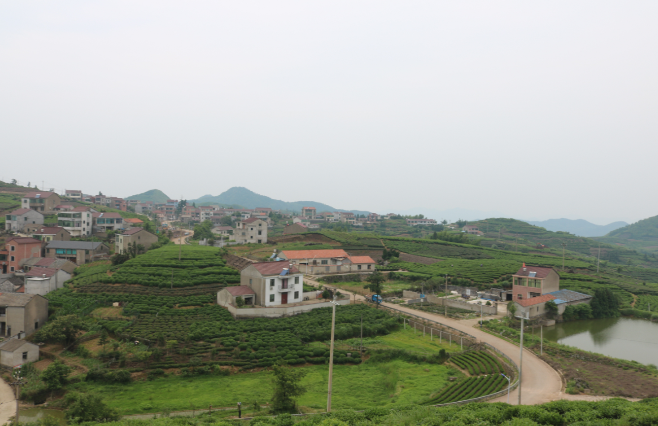 农村自建房怎样做建筑模板 (6).png 农村自建房怎样做建筑模板 (6).png