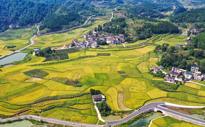 农村自建房怎样做建筑模板 (7).png 农村自建房怎样做建筑模板 (7).png